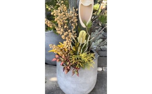 門松 天然竹 6本 正月飾り 笑い竹（竹について（竹の種類） | 虎