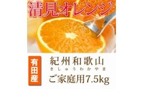 【ご家庭用訳アリ】紀州有田産清見オレンジ　7.5kg