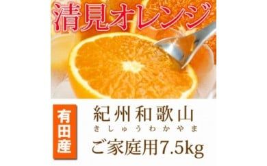 【ご家庭用訳アリ】紀州有田産清見オレンジ　7.5kg