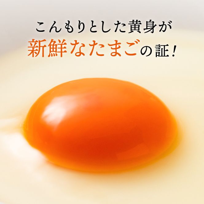 【累計600万個突破！】【TVで紹介されました】タズミの卵Ｍサイズ（20個）005AB02N.／こだわり卵 市川町産 兵庫県産 たまご 卵 たまごかけご飯 玉子 生卵 鶏卵 タマゴ 卵焼き TKG