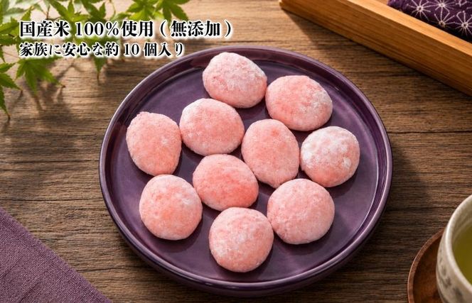 010B1959 【無添加】老舗職人の杵つき生丸餅（エビ）約500g 【小分け 50g×10個 解凍するだけで“つきたて”の粘りと香り】