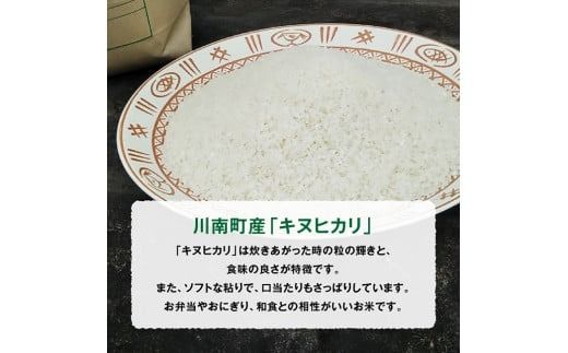 【令和6年産】黒木農園のお米「キヌヒカリ(白米)」5kg 【 米 お米 白米 国産 宮崎県産 きぬひかり おにぎり 】☆[D03219]