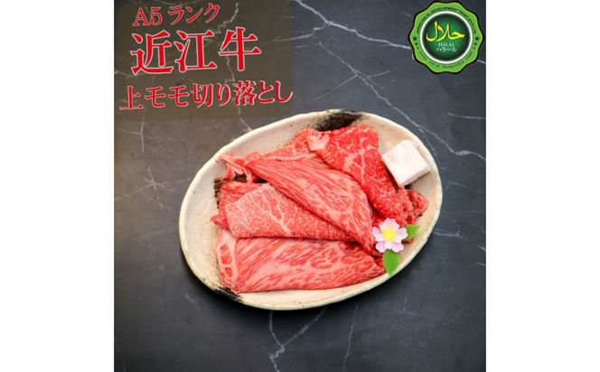 近江牛切り落とし250ｇ【 近江牛 ハラルビーフ 切り落とし 澤井姫和牛 】 272230_AS033