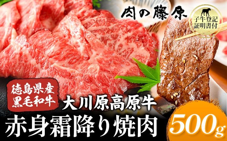 大川原高原牛 赤身霜降り焼肉用 500g 株式会社肉の藤原[60日以内に出荷予定(土日祝除く)]徳島県 佐那河内村 和牛 希少 佐那河内 さなごうち 大川原高原 牛肉 焼肉 贅沢 あっさり バーベキュー BBQ 弁当 冷凍 ギフト 贈答---sanagouchi_nfw_2_500g---