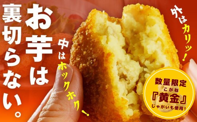 G3542 【圧倒的企業努力】こだわりの国産素材 手作りコロッケ 合計10個【黄金 無添加 国産 惣菜 おやつ おつまみ お弁当 三代目コロッケ】