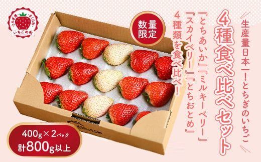 大満足4種食べ比べセット(とちおとめ、ミルキーベリー、とちあいか、スカイベリー)400g×2パック 800g|先行予約 数量限定 ※2026年2月上旬〜4月中旬頃に順次発送予定