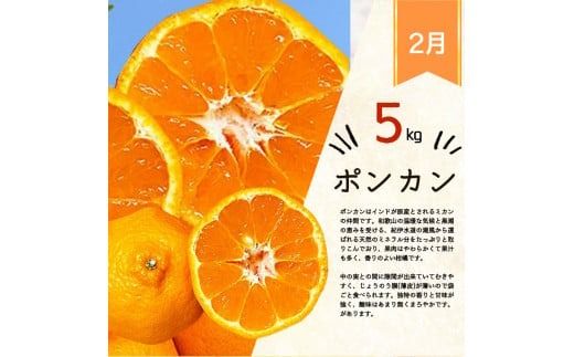 【3か月定期便】人気のみかんを集めた！旬の柑橘定期便 田村みかん・ポンカン・清見オレンジ【tkb111】