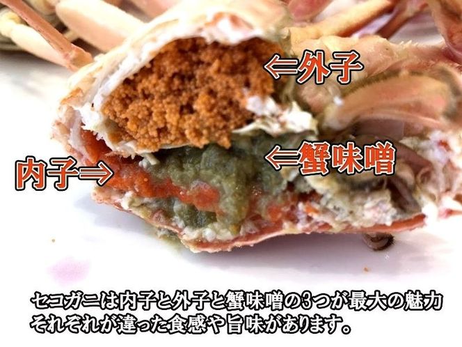 【数量・期間限定】【訳あり】新潟県村上市寝屋漁港産　本ズワイガニ夫婦セット 約3kg（雄 約2kg＋セコガニ 約1kg） 1079003