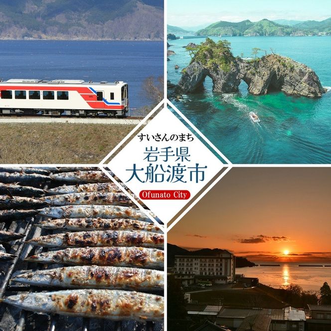 いか 一夜干し 大 6尾 いか イカ 烏賊 squid バーベキュー BBQ 炙り 炙り焼き 夕飯 おかず おつまみ 晩酌 海産物 海鮮 魚介 魚介類 大船渡 三陸 岩手県 国産[56500390_4]