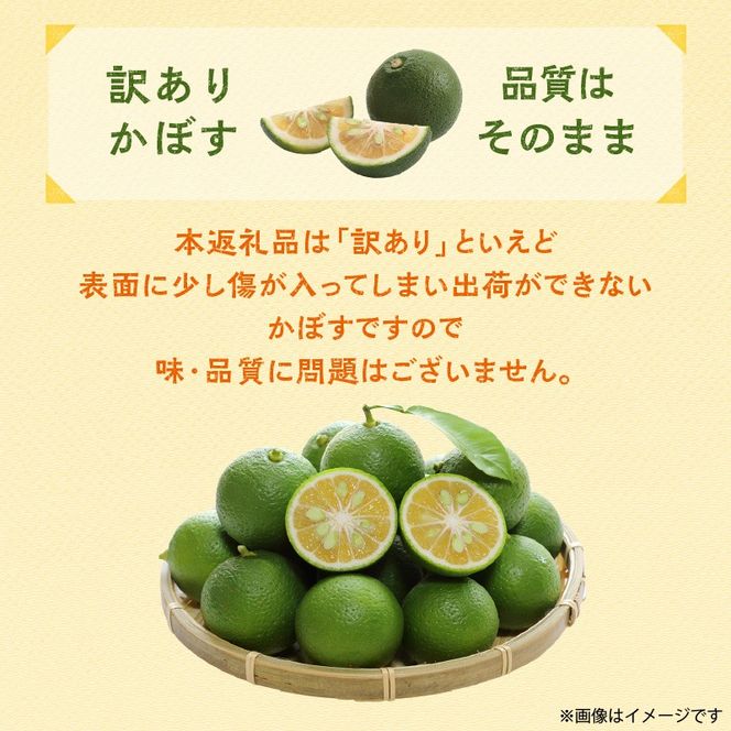 【訳あり】多少の傷あり 徳丸農園かぼす約1.9kg_2265R