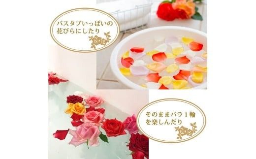 〈日付指定も可能〉 観賞はもちろん！バラ風呂やフラワーシャワーに！ ローズインにゅーよーくミックス５０輪 バラ５０輪詰め合わせ 風呂 薔薇 ローズ ギフト プレゼント ラッピング インテリア お花 フラワー H193-037