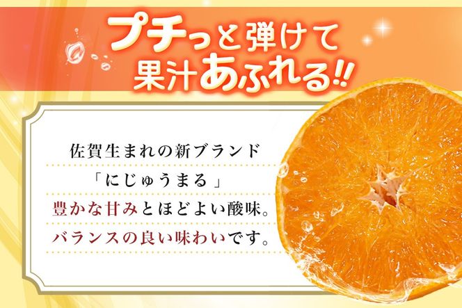 【2027年3月上旬より発送開始】にじゅうまる 約5kg バラ入り【佐賀県 みかん 柑橘 果物 くだもの フルーツ】(H116162)