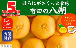 八朔 (はっさく) 玉ぞろい 箱込 5kg(内容量約 4.4kg) 2L L Mサイズのいずれか  秀品 優品 混合 和歌山県産  産地直送［おまけ付き］［みかんの会］ AX233