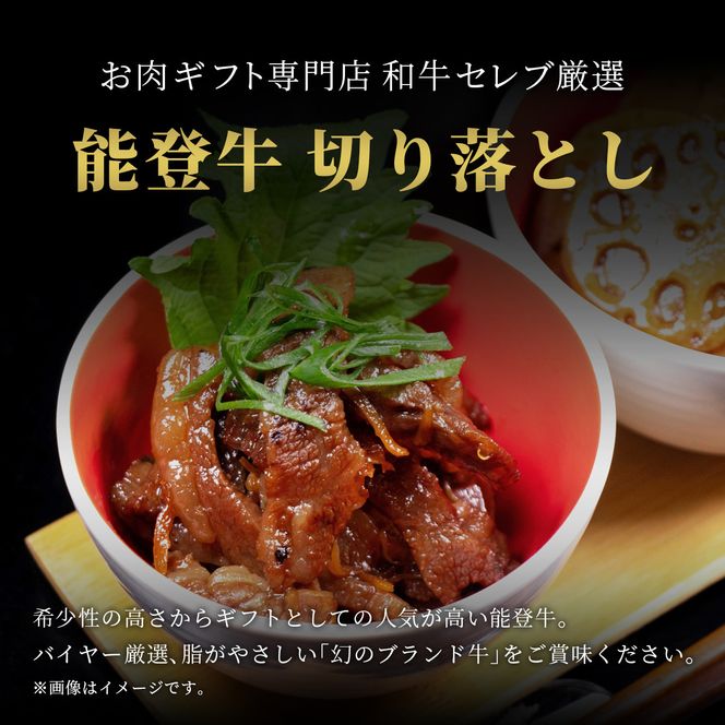 肉【和牛セレブ】能登牛 切り落とし 300g 黒毛和牛 霜降り ギフト 石川県 能美市 172111_DB041