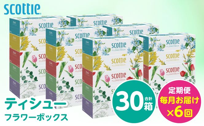 【定期便6回】【毎月お届け】【スコッティ】 ティシュー フラワーボックス 250組 30箱 計180箱 ティッシュ 日用品 生活必需品 消耗品 紙 まとめ買い 備蓄 防災備蓄 ストック デザインボックス 新生活 防災 生活用品 日用消耗品 箱ティッシュ