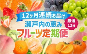 【12回毎月お届け】高松市自慢のフルーツ定期便【L】 372013_T006-776J