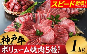 神戸牛 ボリューム焼肉セット 肩ロース 肩 モモ バラ 赤身角切り 1kg / 焼肉 食べ比べ 牛肉 小分け (200g×5種) 密着包装 赤身 霜降り国産牛 焼肉セット 焼き肉 冷凍 国産牛 ブランド牛 黒毛和牛 神戸ビーフ 化粧箱入り ギフト【帝神志方ミート】/ 翌月にお届け