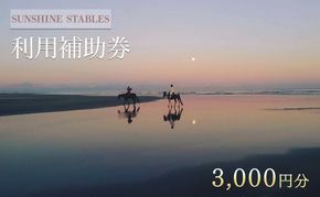 [SUNSHINE STABLES]利用補助券（3,000円分） 体験チケット チケット 