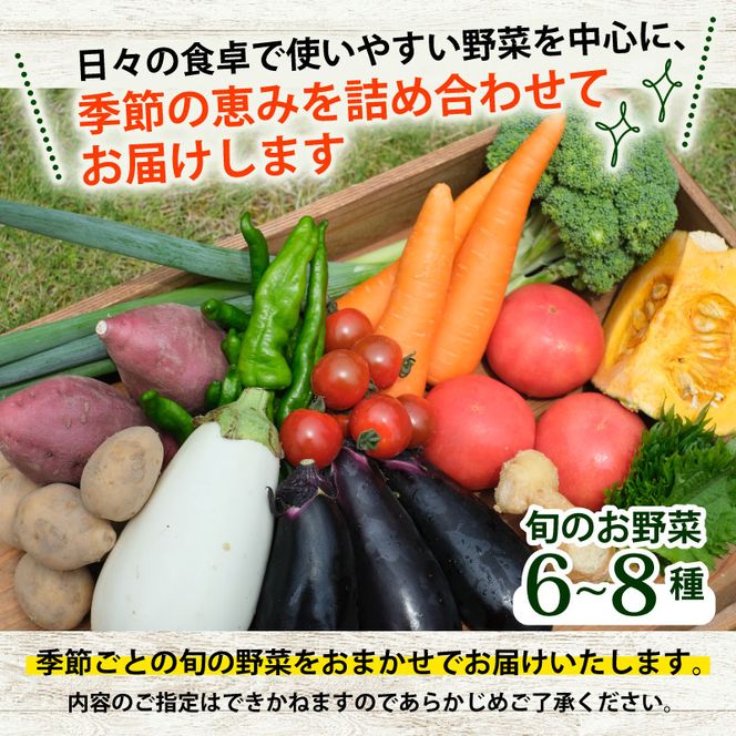 【定期便3回】野菜セット 平飼い卵 6個入り