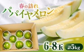【2026年3月中旬～発送】パパイヤメロン 6〜8玉 約5kg / メロン めろん 果物 フルーツ / 南島原市 / うえだメロン園[SAD008]