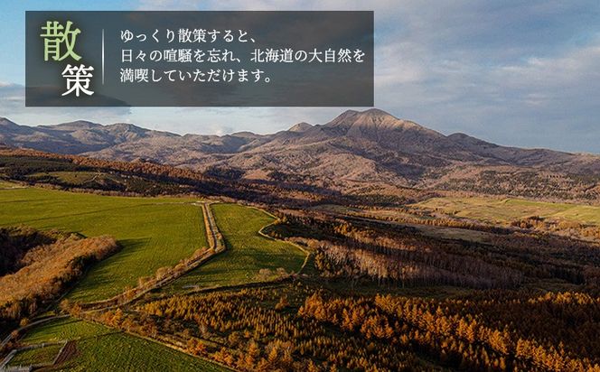 湯宿だいいち　宿泊補助券　80,000円分【63005】