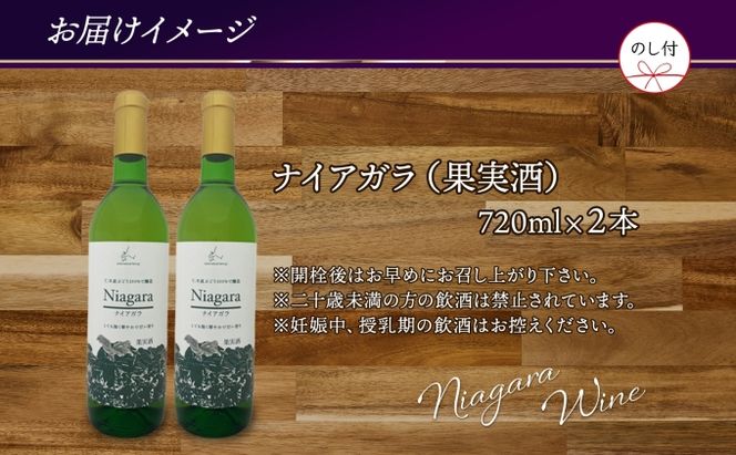 無地熨斗 ナイアガラ ブドウ ワイン 720ml 2本 セット 熨斗付き 葡萄 ぶどう 果実酒 お酒 アルコール 白ワイン 辛口 お取り寄せ ギフト gift ボトル 紙箱 御中元 お中元 熨斗 のし 自然農園 