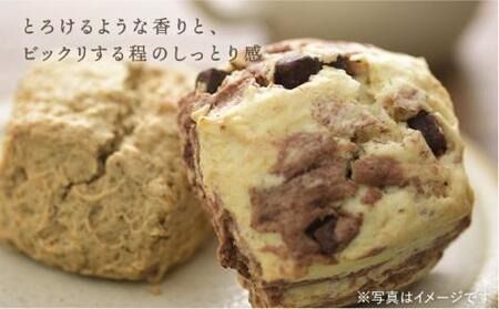 【 全12回 定期便 】 スコーン の イメージ 変えてみませんか ？ 定番 スコーン 12個 セット 焼き菓子 焼菓子 洋菓子 スイーツ パン《糸島》【キナフク】 [AFA003]