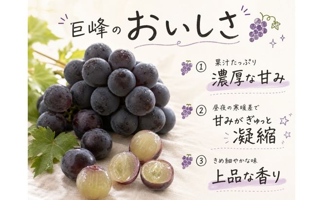 紀州有田産の巨峰ぶどう約2kg【先行予約】【2026年8月下旬以降発送予定】AN021