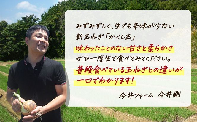 【新玉ねぎ】今井ファームの淡路島たまねぎ「かくし玉」 2kg【発送時期2026年4月下旬～5月頃】