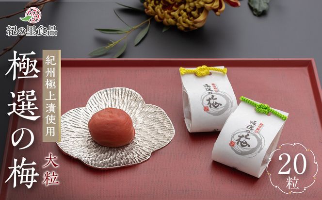 �y�a�̎R�����쒬�z�ɑI�̔~ �ؔ� 1��20������ �mKn12�n 303446_CQ012