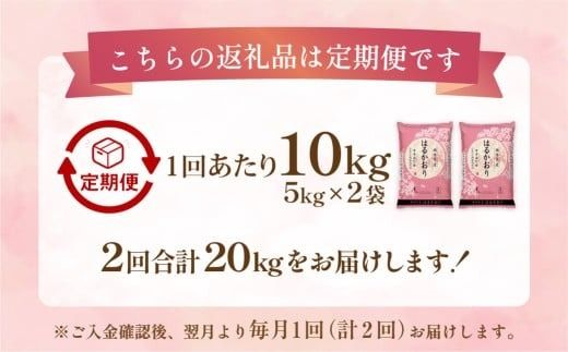 【1ヶ月毎2回定期便】 はるかおり 10kg 計20kg ／ 米 コメ お米 ライス ご飯 ごはん 飯 食品 精米 定期便 常温 福岡県 香春町