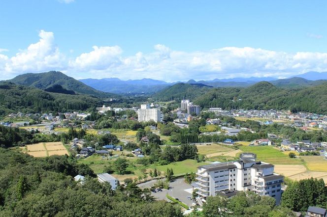 秋保温泉旅館組合宿泊券Ｂ（40,000円券）【旅行 宿泊券 チケット 券 】 041009_CC002