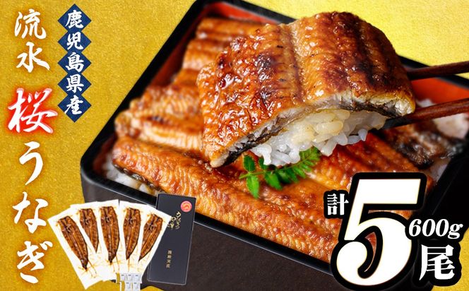 yuzuszȂ̖V Ȃ̊Ă v5v600g  a9-040