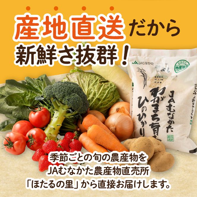 【9～11品】むなかた旬のお任せセット(野菜・フルーツ・お米)【JAほたるの里】_HA0263