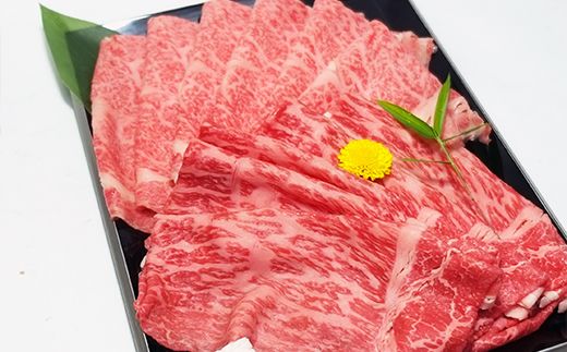 【げんさん】近江牛A5ランク　サーロイン・モモ　すき焼食べ比べセット【800g】【DG02W】