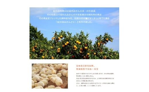 【紀の国みかんどり使用】鶏鍋2～3人前セット(A1118-1)