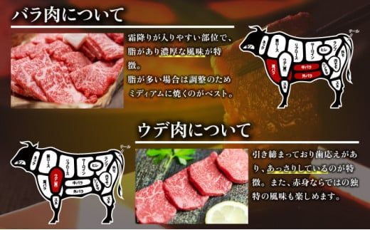 500g【佐賀牛】特選カルビ焼肉用（バラ・ウデ） C-588