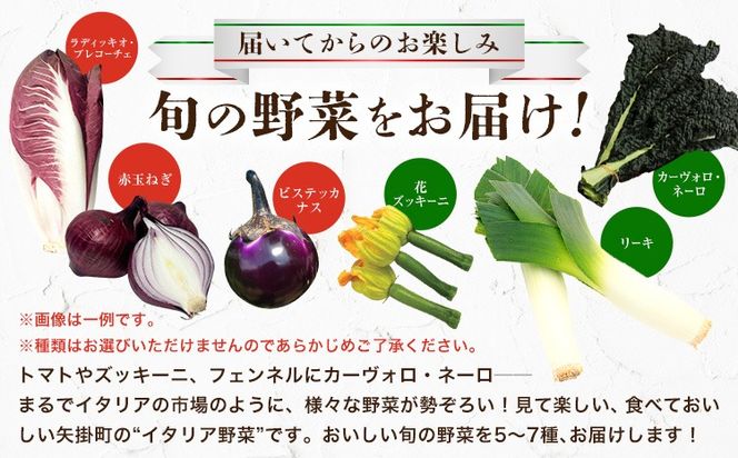 野菜 旬の イタリア野菜 セット 5～7種 《11月下旬-3月中旬頃出荷》JA晴れの国 矢掛アグリセンター 野菜 ねぎ ネギ 国産 イタリア リーキ プレコーチェ カタローニャ ルーコラ ズッキーニ トマト 玉ねぎ 西洋 送料無料---osy_cjyaibs_h113_26_10000_s---
