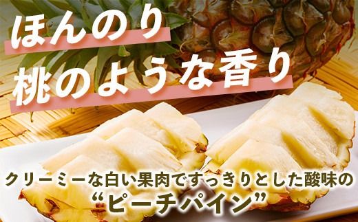 【先行予約】《2026年5月上旬頃より順次発送》石垣島産 ピーチパイン (4玉 約3㎏) 【 産地直送 沖縄 石垣 パイナップル フルーツ 】石垣さんちの石垣トロピカルファーム TP-11
