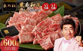 G3633 黒毛和牛A5/A4等級 切り落とし 味付き 焼肉セット 600g（サーロイン 300g／リブロース 300g） ギフト プレゼント に最適