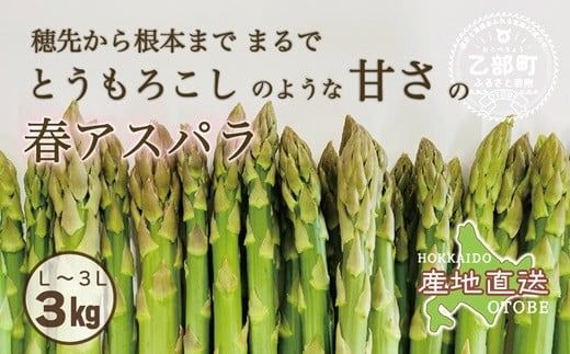 ＜北海道産 春採れグリーンアスパラ 3㎏＞ 甘さ広がる春の味覚！ 北海道 北海道産 国産 産地直送 乙部町 旬 新鮮 採れたて 農家直送 あすぱら アスパラガス 野菜 冷蔵配送 L以上 お取り寄せ 送料無料
