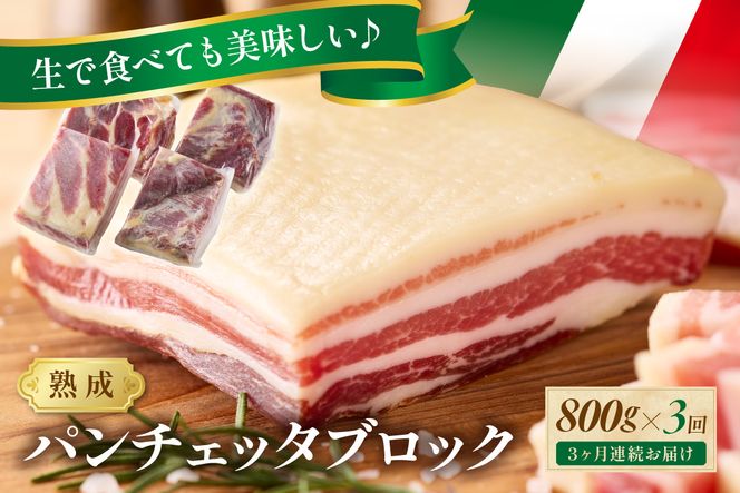 【定期便 毎月×3回】パンチェッタブロック（豚バラ肉の塩漬け）　約200g×4袋 ふるさと納税 豚肉 塩漬け ふるさと納税 ベーコン ふるさと納税 パンチェッタ 豚バラ 塩漬け スペイン料理　NI00025