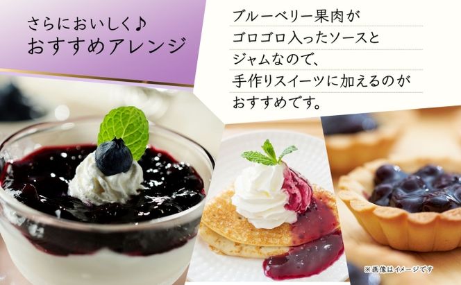北海道産 ブルーベリーソース 200g 1本 ブルーベリージャム 180g 2個セット ジャム瓶 ブルーベリー 詰め合わせ フルーツ 果物 自然農園 お取り寄せ ギフト 贈り物 産地直送 のし 北海道 仁木町 
