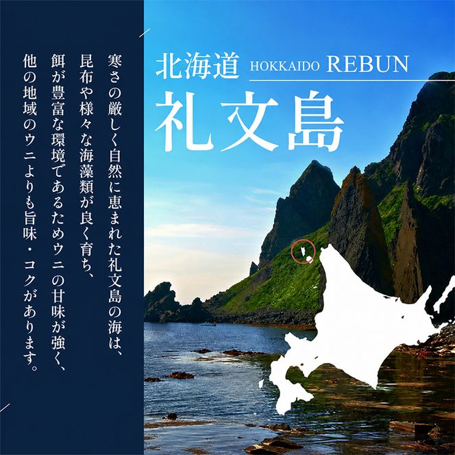 【礼文島リボンプロジェクト】北海道 礼文島産 ミョウバン不使用 塩水ウニ エゾバフンウニ 100g×2パック(ピンバッジ付)［野崎水産］【 うに ウニ 雲丹 生うに 塩水うに バフンウニ 自然保護 寄付 海鮮 】