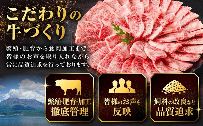 北さつま牛カルビ焼肉用　K137-006