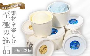 【大好評】 ジェラートセット ミルク 塩バニラ 10個 アイス アイスクリーム 詰め合わせ 家庭用 [rk045]