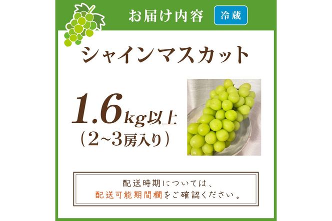 【先行予約／数量限定100】シャインマスカット 1.6kg以上（2～3房入り）（2026年9月上旬～発送）　FK00018