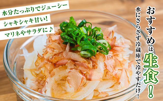 【2026年夏発送】富良野産 白玉ねぎ 雪景色 約5kg （約15～25玉）新玉ねぎ 野菜 甘い 新鮮 直送 玉ねぎ 玉葱 サラダ 北海道 富良野 幕田農園