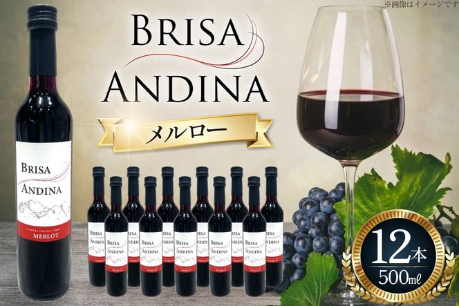 ワイン 赤 ブリサ・アンディーナ メルロー 500ml 12本 セット [カサ・ピノ・ジャパン 山梨県 韮崎市 20745346] ワインセット 山梨 酒 お酒 赤ワイン アルコール ぶどう 果実酒