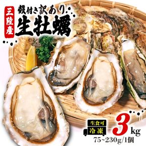 【先行予約】訳あり 牡蠣 3kg (生食可) かき カキ 冷凍 岩手県産 殻付き 生食 生食用 訳あり わけあり 大きさ不揃い 不揃い 三陸 三陸産 株式会社國洋 岩手県 大船渡市 